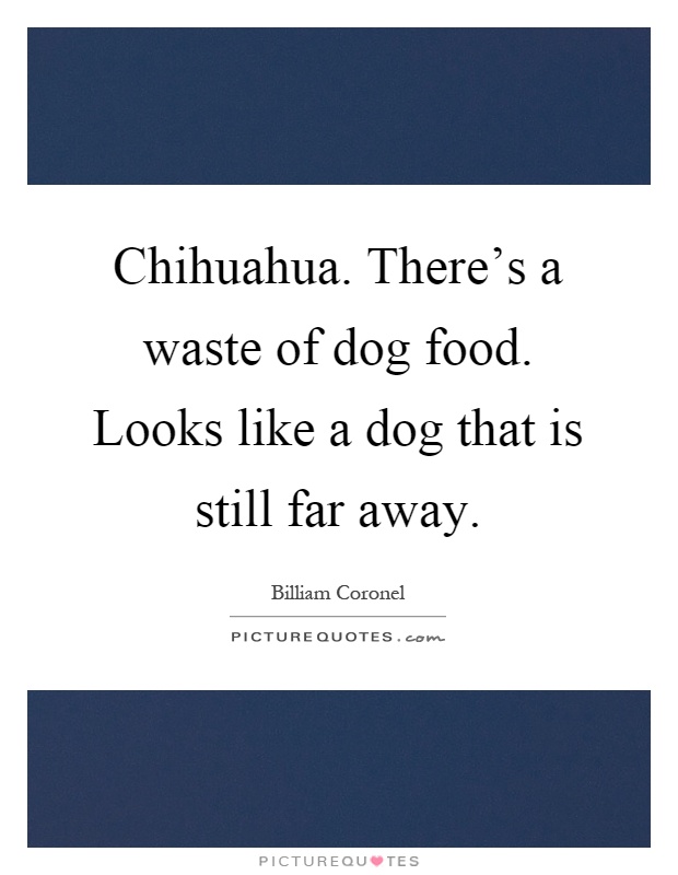Chihuahua. There's a waste of dog food. Looks like a dog that is still far away Picture Quote #1