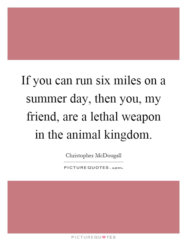 If you can run six miles on a summer day, then you, my friend, are a lethal weapon in the animal kingdom Picture Quote #1