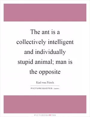 The ant is a collectively intelligent and individually stupid animal; man is the opposite Picture Quote #1