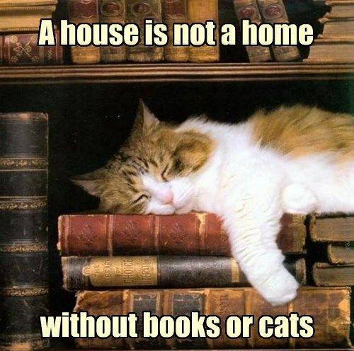 A house is not a home without books or cats Picture Quote #1