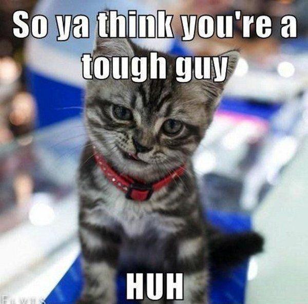 So ya think you're a tough guy huh? Picture Quote #1
