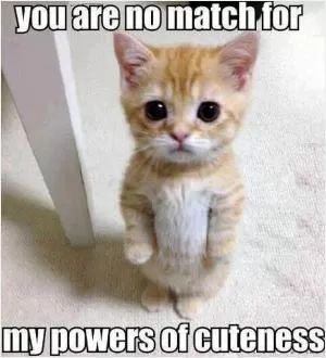 You are no match for my powers of cuteness.  Picture Quote #1