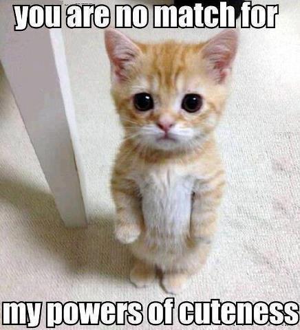 You are no match for my powers of cuteness.  Picture Quote #1