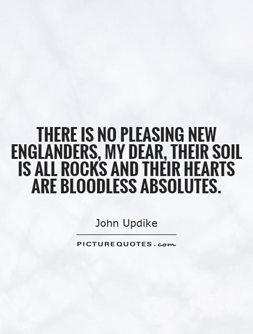 There is no pleasing New Englanders, my dear, their soil is all rocks and their hearts are bloodless absolutes Picture Quote #1