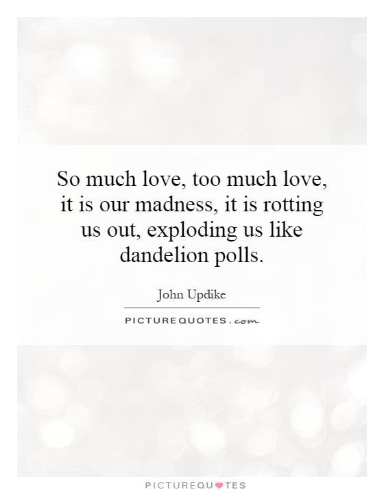 So much love, too much love, it is our madness, it is rotting us out, exploding us like dandelion polls Picture Quote #1