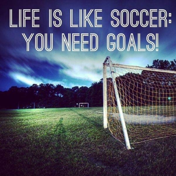 Life is like soccer - you need goals Picture Quote #1