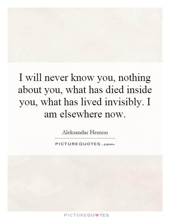 I will never know you, nothing about you, what has died inside you, what has lived invisibly. I am elsewhere now Picture Quote #1