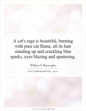 A cat's rage is beautiful, burning with pure cat flame, all its hair standing up and crackling blue sparks, eyes blazing and sputtering Picture Quote #1