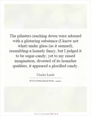 The pilasters reaching down were adorned with a glistering substance (I know not what) under glass (as it seemed), resembling-a homely fancy, but I judged it to be sugar-candy; yet to my raised imagination, divested of its homelier qualities, it appeared a glorified candy Picture Quote #1