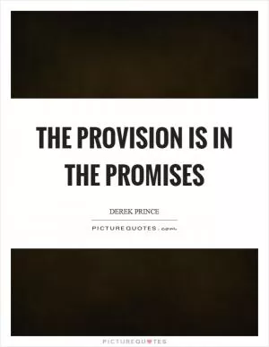 The provision is in the promises Picture Quote #1