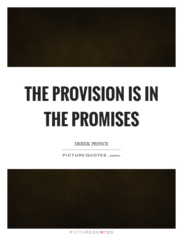 The provision is in the promises Picture Quote #1