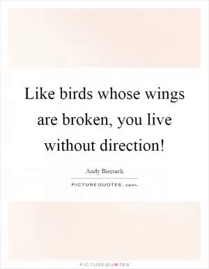Like birds whose wings are broken, you live without direction! Picture Quote #1