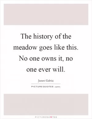The history of the meadow goes like this. No one owns it, no one ever will Picture Quote #1