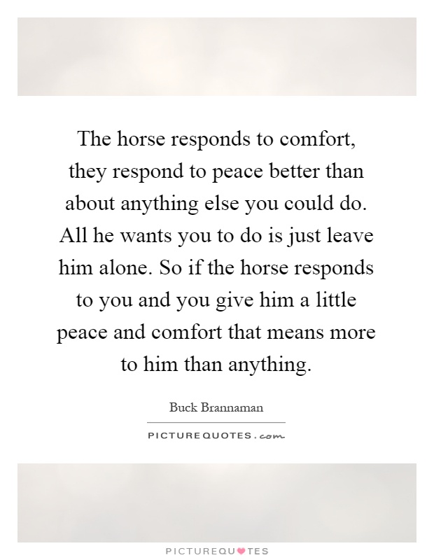 The horse responds to comfort, they respond to peace better than about anything else you could do. All he wants you to do is just leave him alone. So if the horse responds to you and you give him a little peace and comfort that means more to him than anything Picture Quote #1