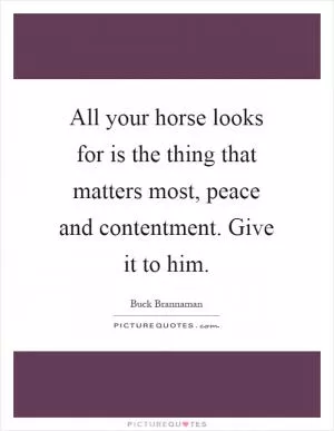 All your horse looks for is the thing that matters most, peace and contentment. Give it to him Picture Quote #1