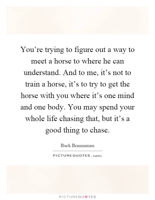 You're trying to figure out a way to meet a horse to where he can understand. And to me, it's not to train a horse, it's to try to get the horse with you where it's one mind and one body. You may spend your whole life chasing that, but it's a good thing to chase Picture Quote #1
