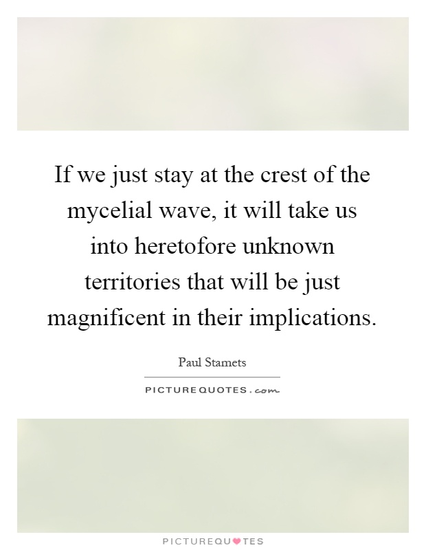 If we just stay at the crest of the mycelial wave, it will take us into heretofore unknown territories that will be just magnificent in their implications Picture Quote #1
