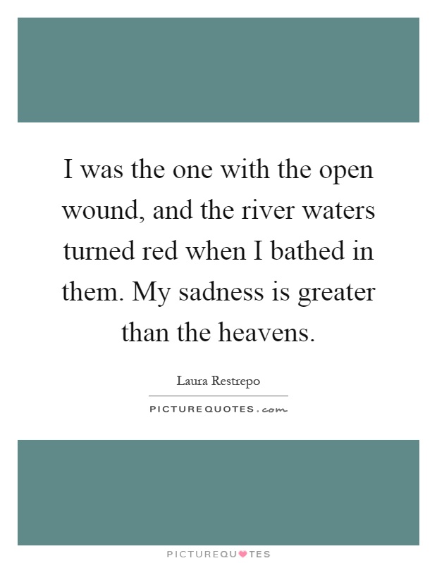 I was the one with the open wound, and the river waters turned red when I bathed in them. My sadness is greater than the heavens Picture Quote #1