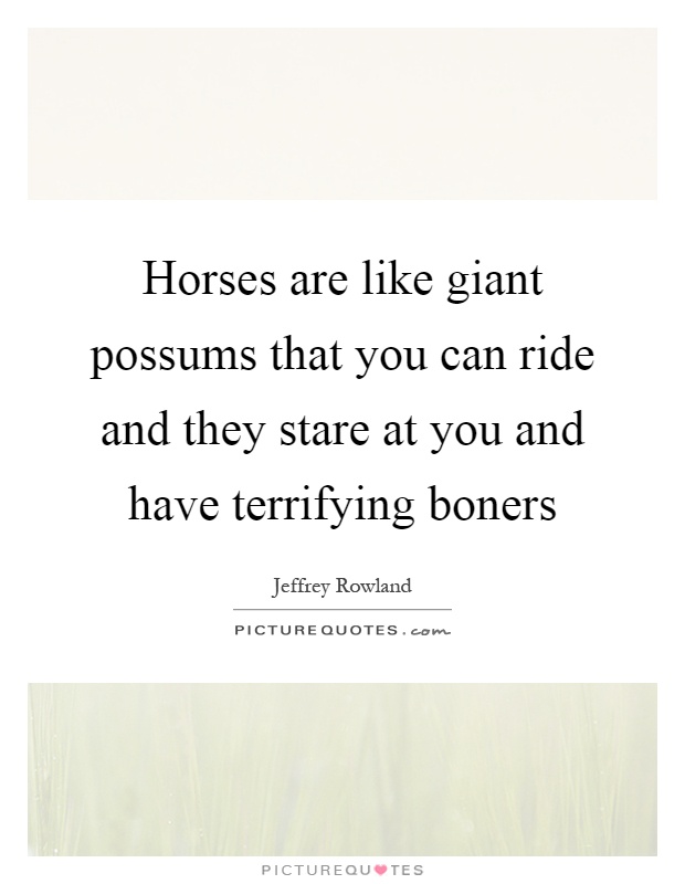 Horses are like giant possums that you can ride and they stare at you and have terrifying boners Picture Quote #1