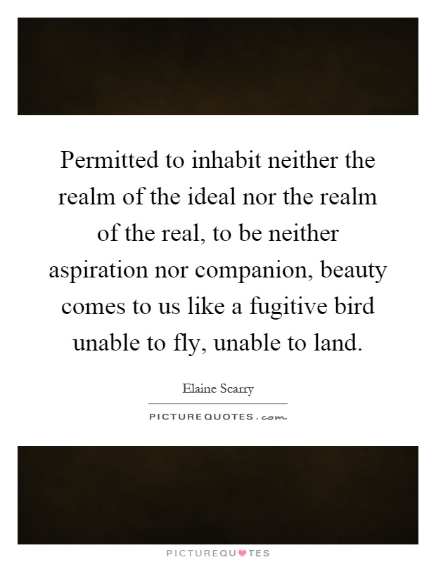 Permitted to inhabit neither the realm of the ideal nor the realm of the real, to be neither aspiration nor companion, beauty comes to us like a fugitive bird unable to fly, unable to land Picture Quote #1