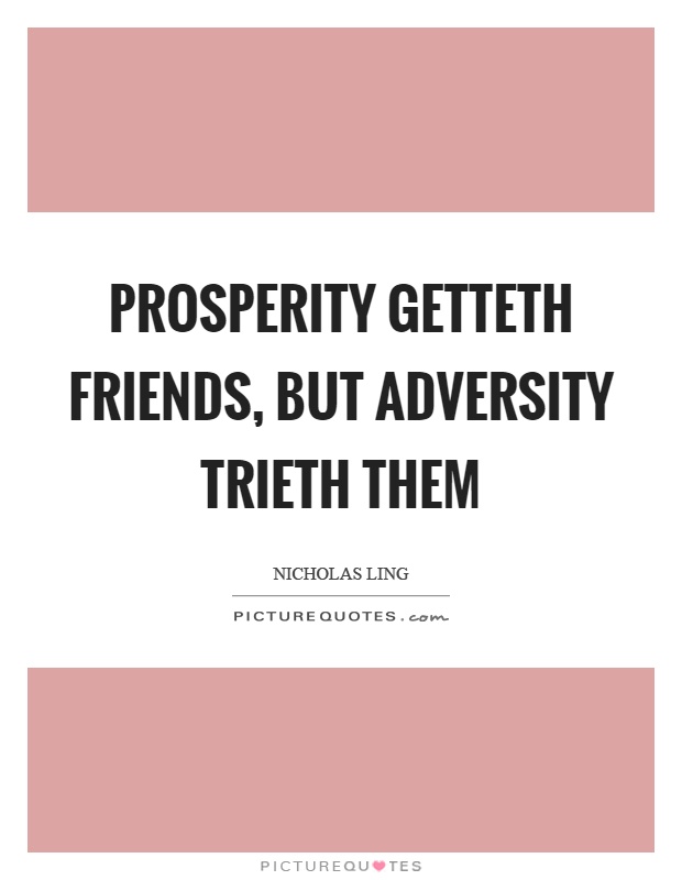 Prosperity getteth friends, but adversity trieth them Picture Quote #1