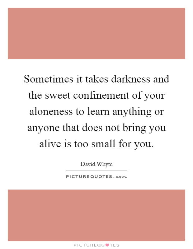 Sometimes it takes darkness and the sweet confinement of your aloneness to learn anything or anyone that does not bring you alive is too small for you Picture Quote #1
