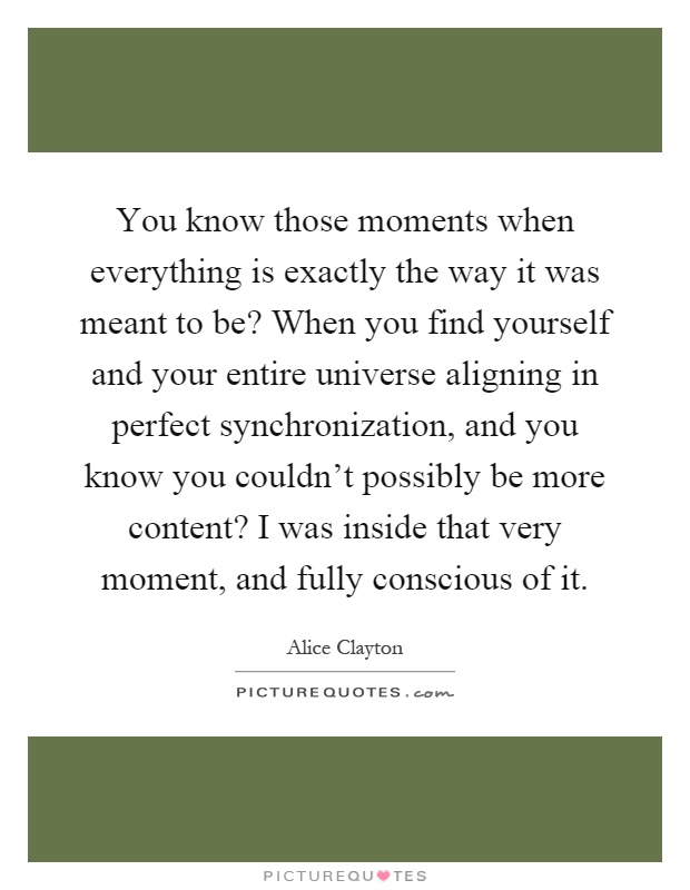 You know those moments when everything is exactly the way it was meant to be? When you find yourself and your entire universe aligning in perfect synchronization, and you know you couldn't possibly be more content? I was inside that very moment, and fully conscious of it Picture Quote #1