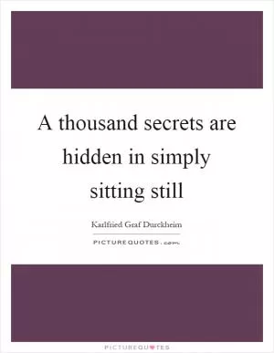 A thousand secrets are hidden in simply sitting still Picture Quote #1