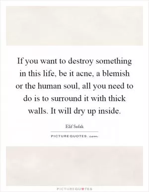 If you want to destroy something in this life, be it acne, a blemish or the human soul, all you need to do is to surround it with thick walls. It will dry up inside Picture Quote #1