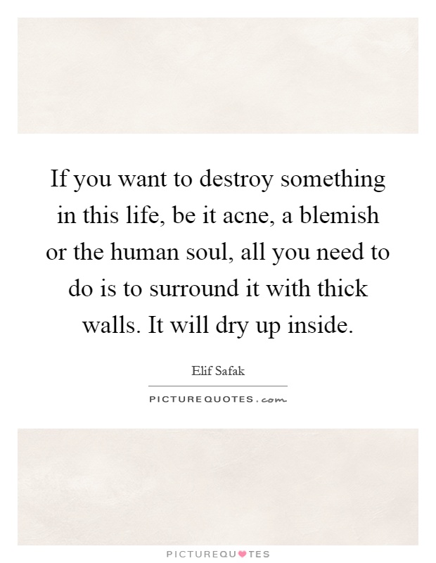 If you want to destroy something in this life, be it acne, a blemish or the human soul, all you need to do is to surround it with thick walls. It will dry up inside Picture Quote #1