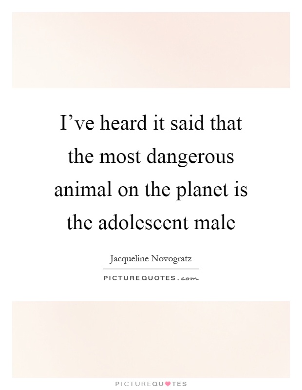 I've heard it said that the most dangerous animal on the planet is the adolescent male Picture Quote #1