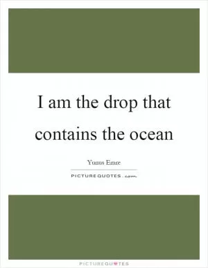 I am the drop that contains the ocean Picture Quote #1