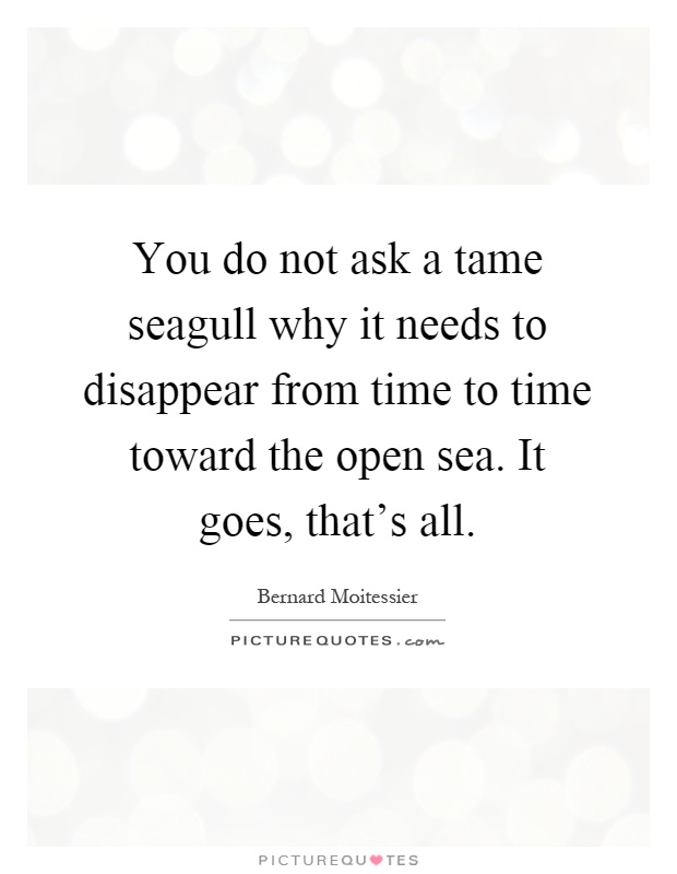 You do not ask a tame seagull why it needs to disappear from time to time toward the open sea. It goes, that's all Picture Quote #1
