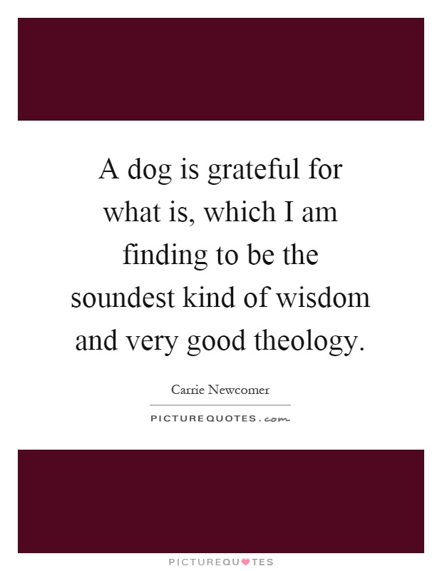 A dog is grateful for what is, which I am finding to be the soundest kind of wisdom and very good theology Picture Quote #1