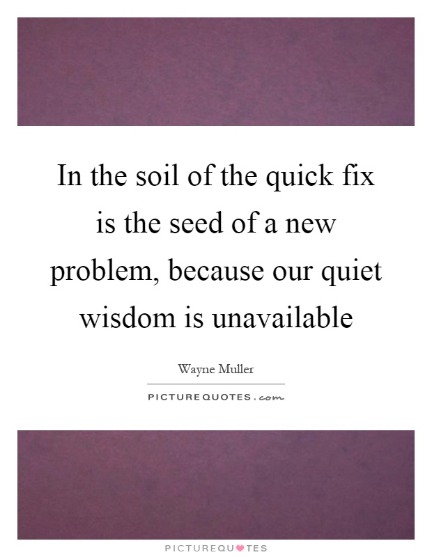 In the soil of the quick fix is the seed of a new problem, because our quiet wisdom is unavailable Picture Quote #1