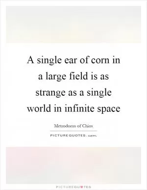 A single ear of corn in a large field is as strange as a single world in infinite space Picture Quote #1