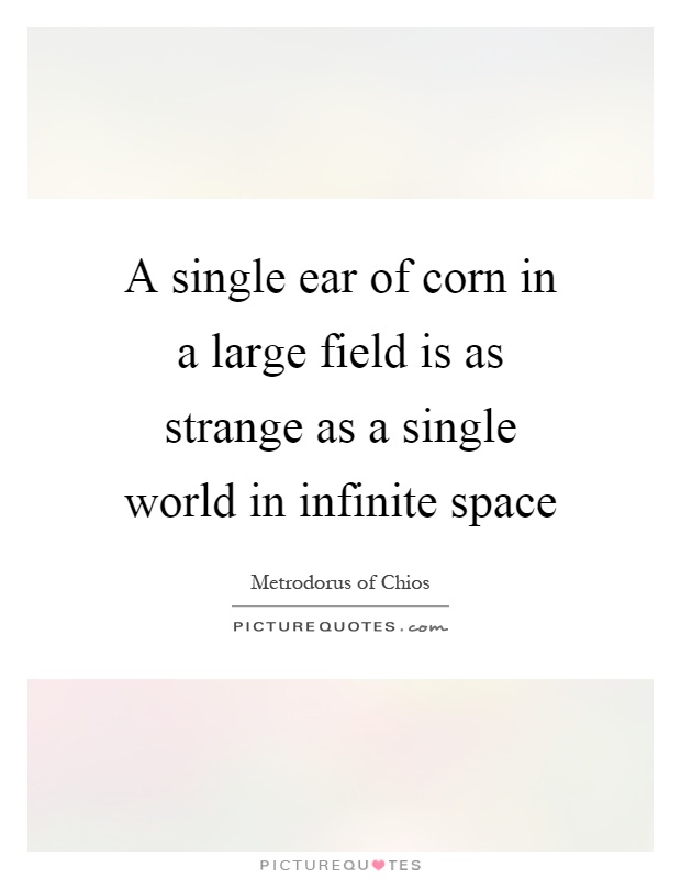 A single ear of corn in a large field is as strange as a single world in infinite space Picture Quote #1