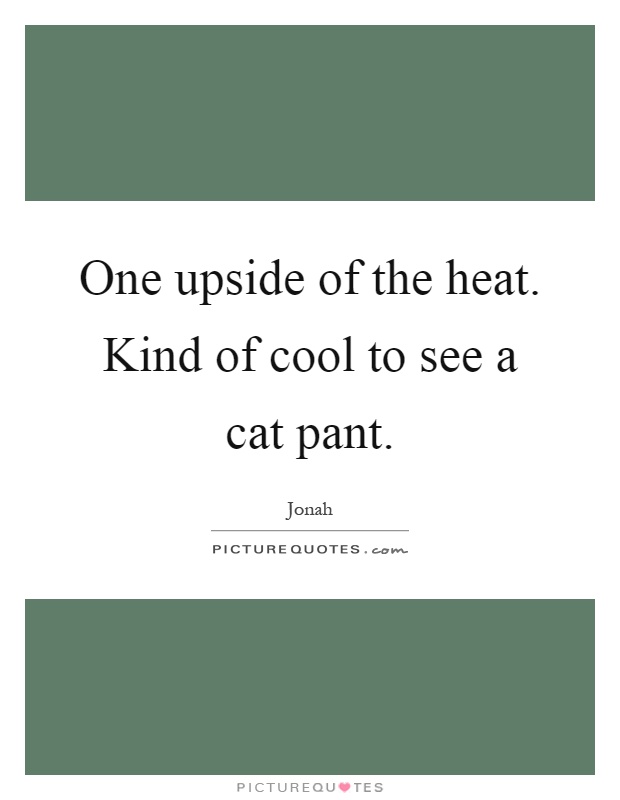 One upside of the heat. Kind of cool to see a cat pant Picture Quote #1