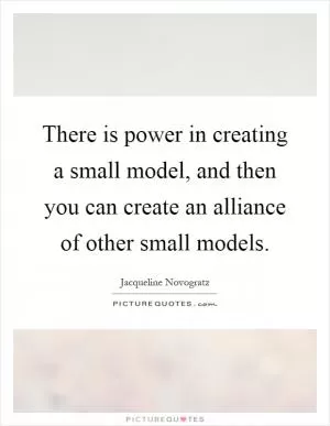 There is power in creating a small model, and then you can create an alliance of other small models Picture Quote #1