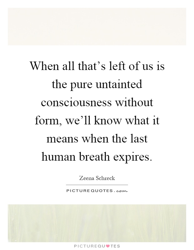 When all that's left of us is the pure untainted consciousness without form, we'll know what it means when the last human breath expires Picture Quote #1