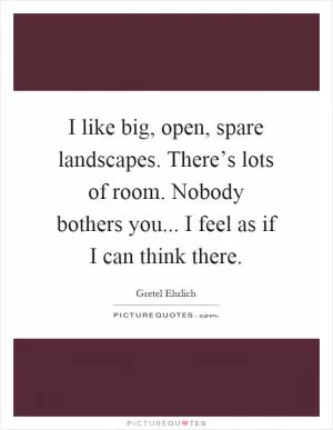 I like big, open, spare landscapes. There’s lots of room. Nobody bothers you... I feel as if I can think there Picture Quote #1