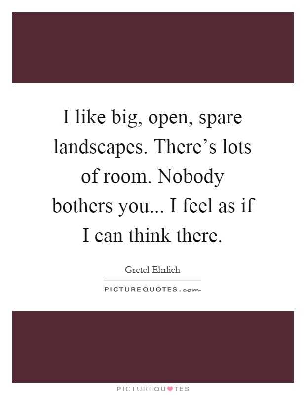 I like big, open, spare landscapes. There's lots of room. Nobody bothers you... I feel as if I can think there Picture Quote #1