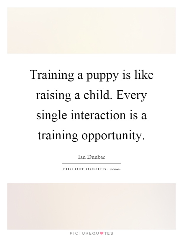 Training a puppy is like raising a child. Every single interaction is a training opportunity Picture Quote #1