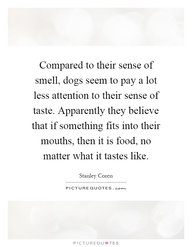 Compared to their sense of smell, dogs seem to pay a lot less attention to their sense of taste. Apparently they believe that if something fits into their mouths, then it is food, no matter what it tastes like Picture Quote #1