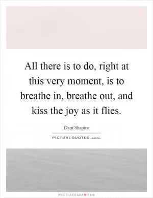 All there is to do, right at this very moment, is to breathe in, breathe out, and kiss the joy as it flies Picture Quote #1