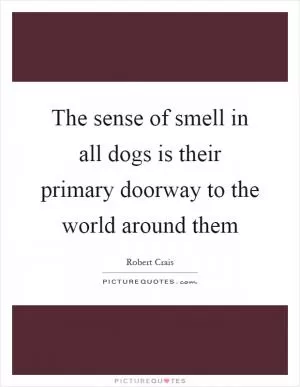 The sense of smell in all dogs is their primary doorway to the world around them Picture Quote #1