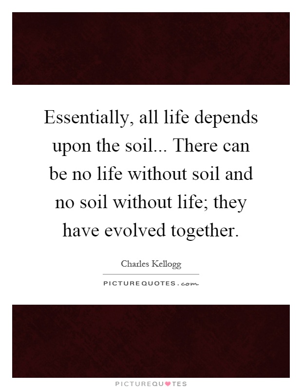 Essentially, all life depends upon the soil... There can be no life without soil and no soil without life; they have evolved together Picture Quote #1