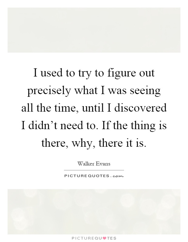 I used to try to figure out precisely what I was seeing all the time, until I discovered I didn't need to. If the thing is there, why, there it is Picture Quote #1