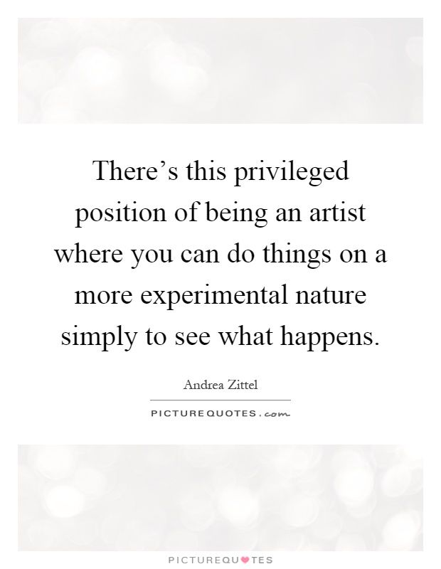 There's this privileged position of being an artist where you can do things on a more experimental nature simply to see what happens Picture Quote #1