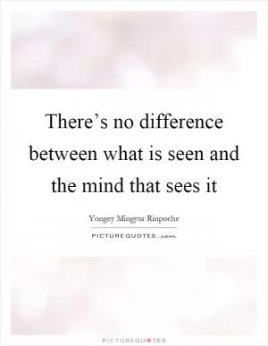 There’s no difference between what is seen and the mind that sees it Picture Quote #1